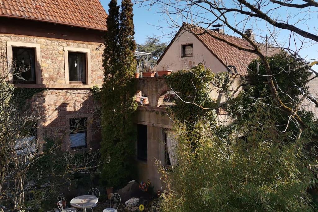 הוילה Dannenfels "Casita Linda "Am Donnersberg מראה חיצוני תמונה
