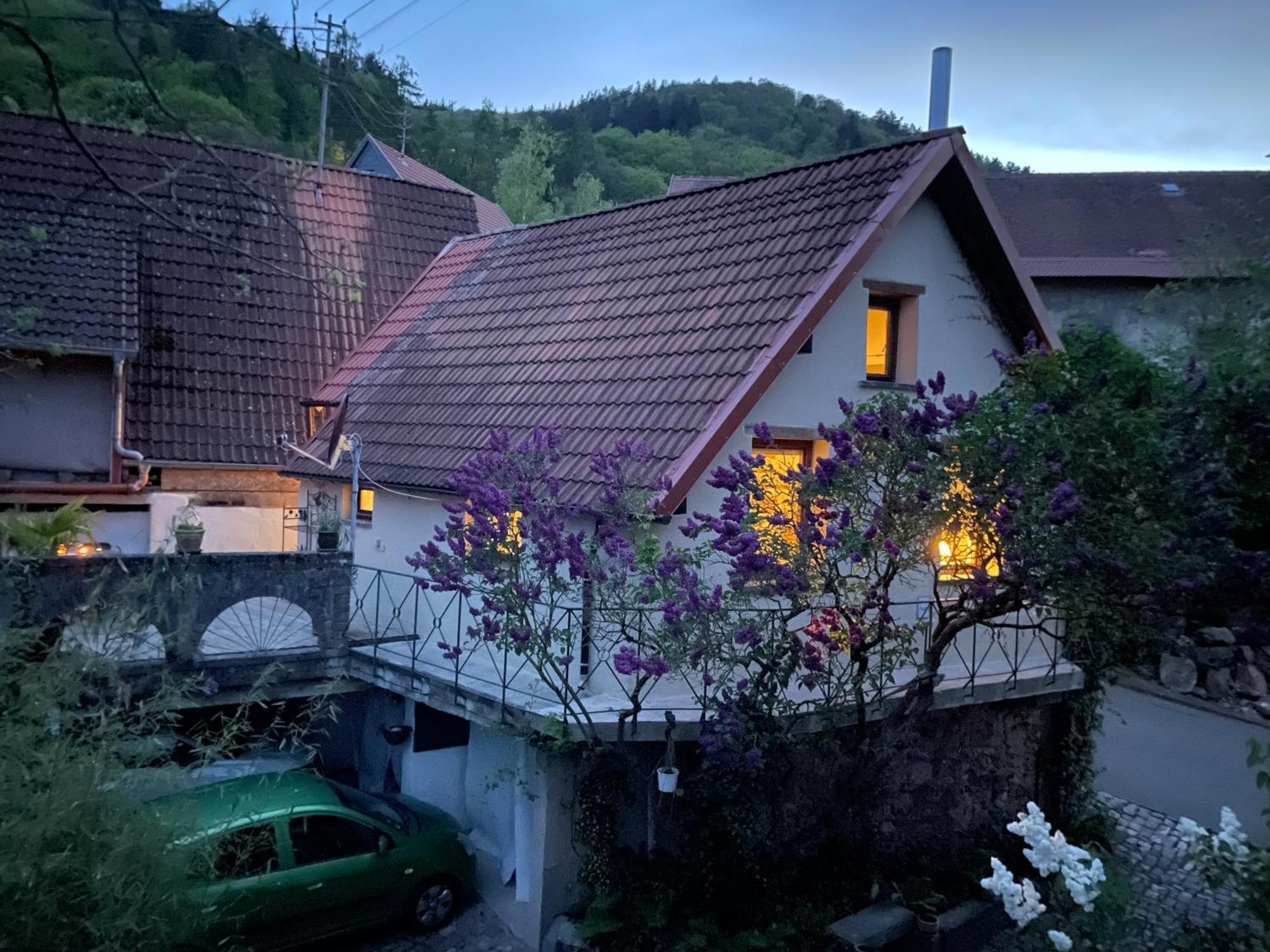 הוילה Dannenfels "Casita Linda "Am Donnersberg מראה חיצוני תמונה