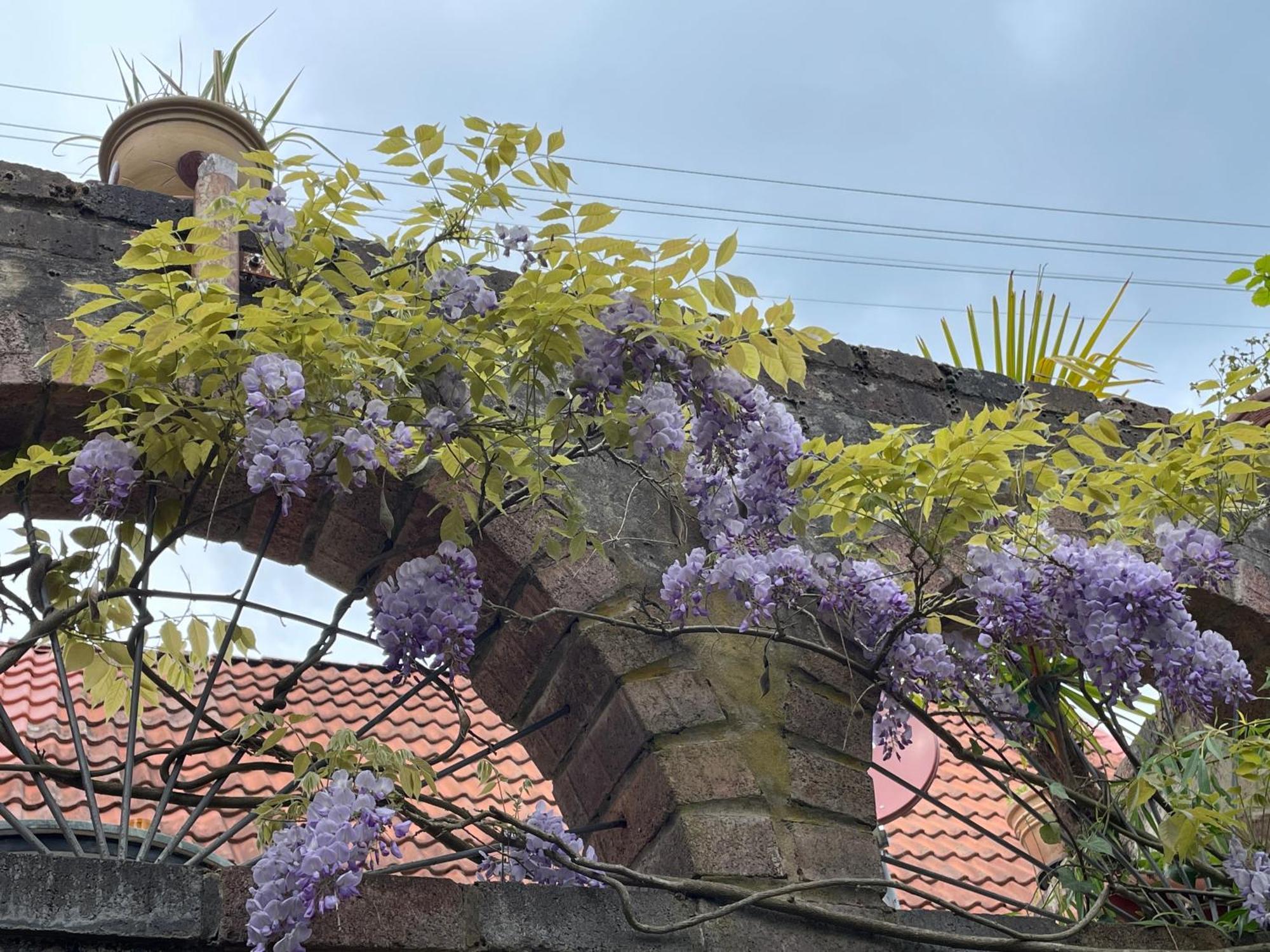 הוילה Dannenfels "Casita Linda "Am Donnersberg מראה חיצוני תמונה