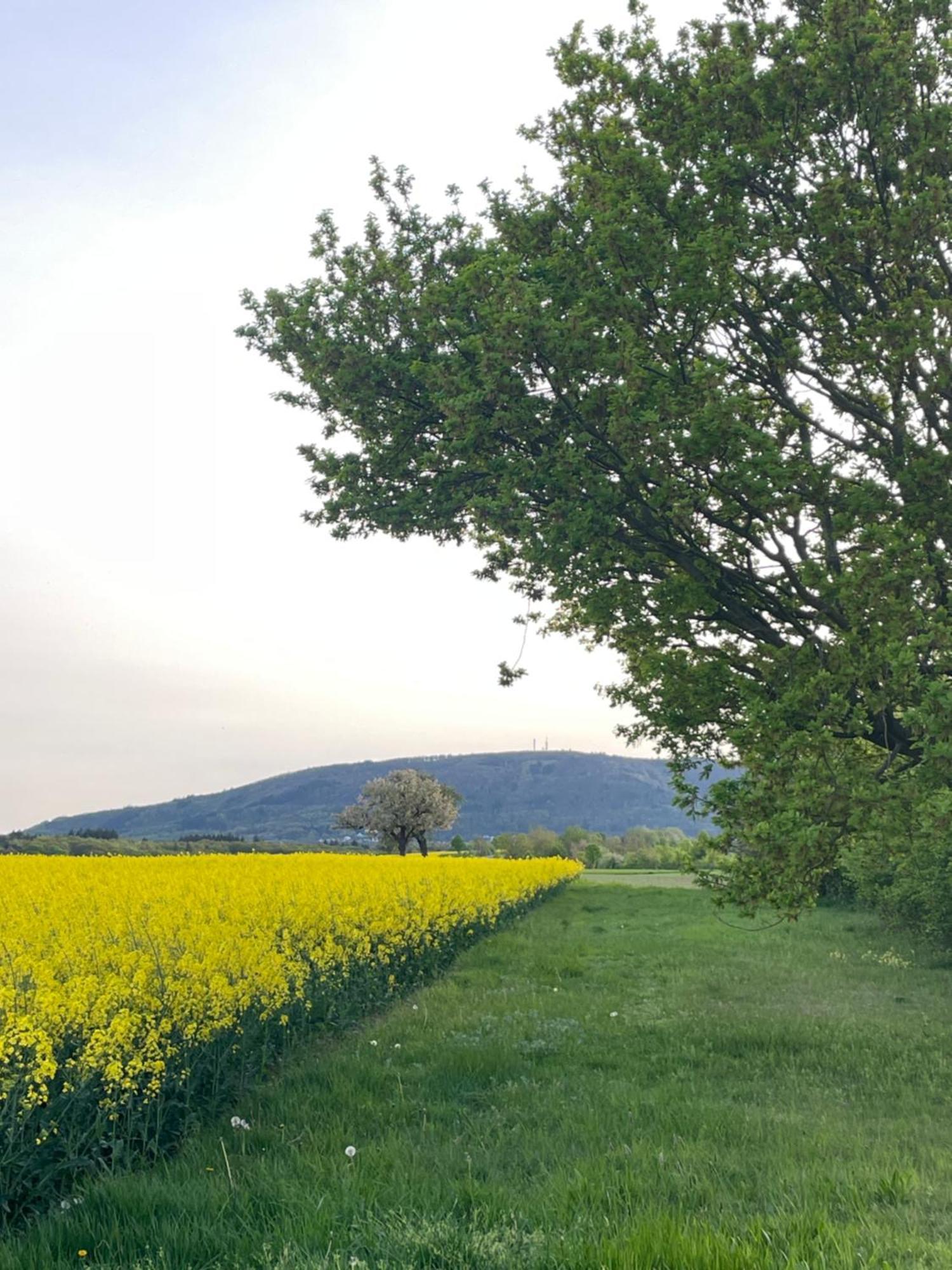 הוילה Dannenfels "Casita Linda "Am Donnersberg מראה חיצוני תמונה