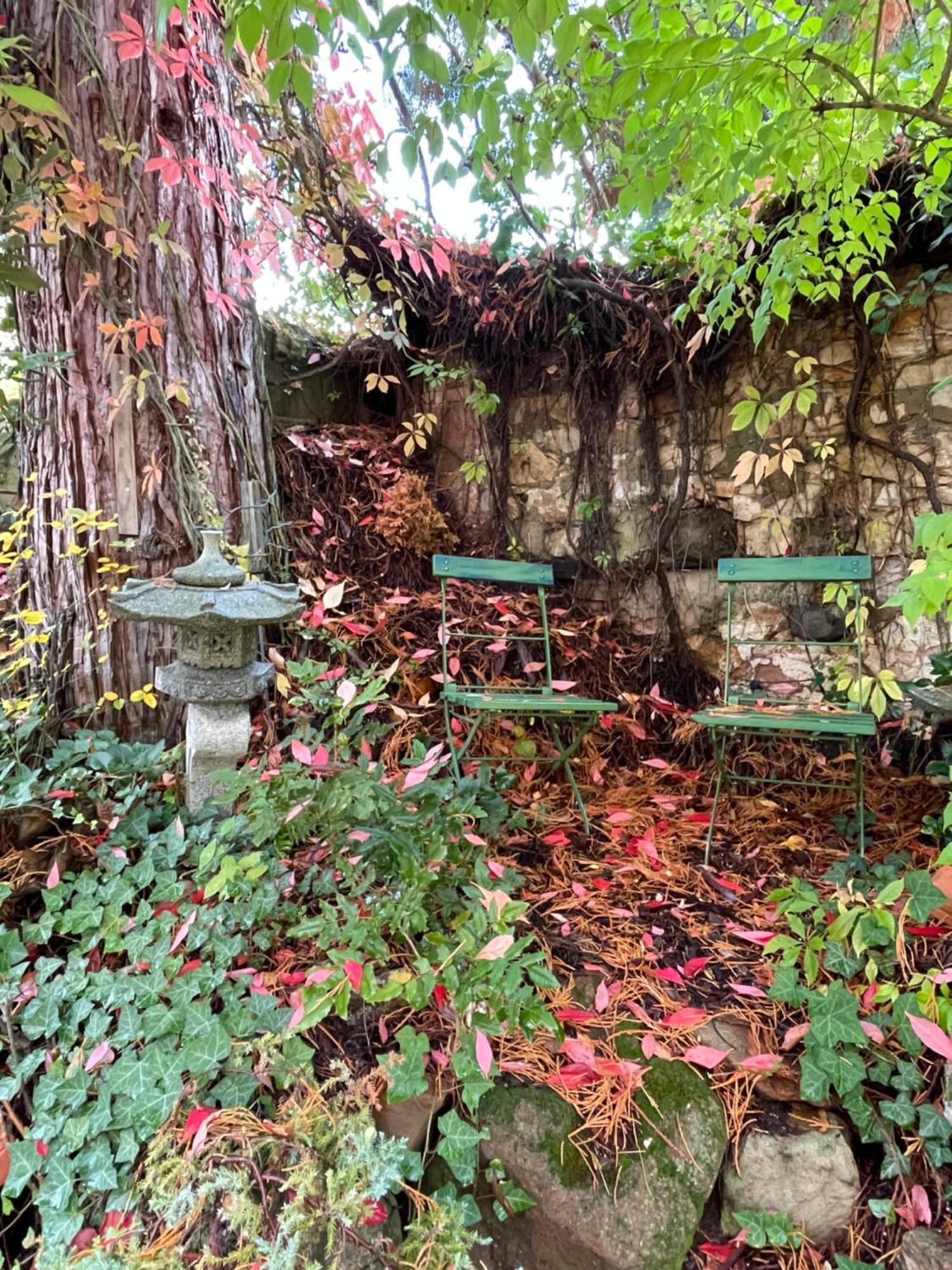 הוילה Dannenfels "Casita Linda "Am Donnersberg מראה חיצוני תמונה